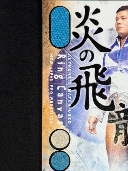 2002 BBM Tatsumi Fujinami  Ring Canvas Enclosed Card