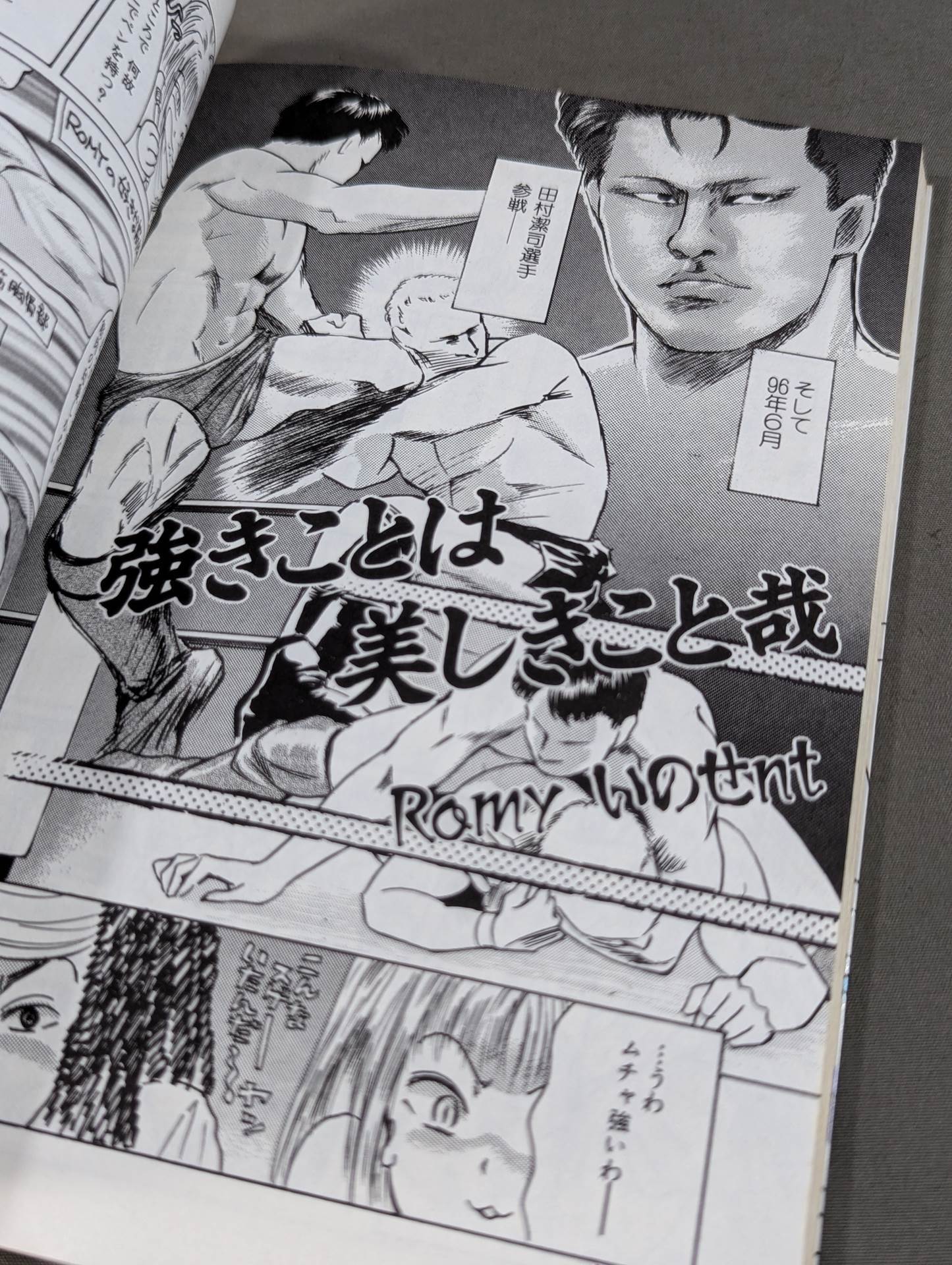 プロレスおっかけ日誌  女だってプロレス大好きーーっ！