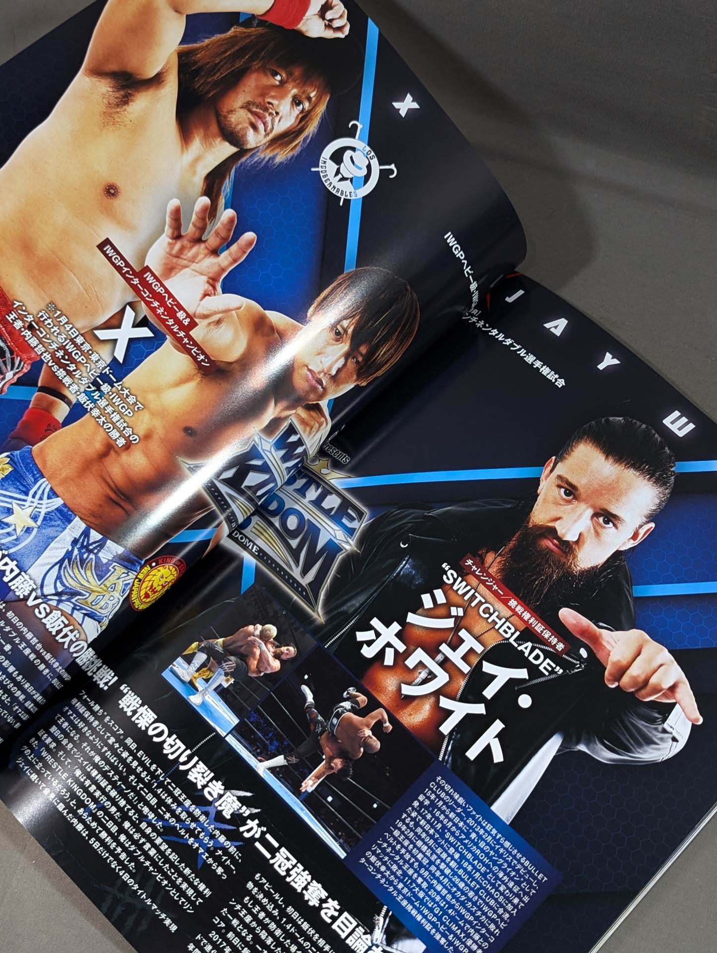 レッスルキングダム15 / WRESTLE KINGDOM 15
