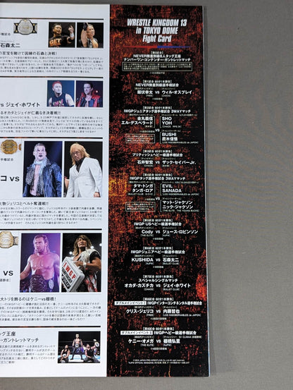 レッスルキングダム13 / WRESTLE KINGDOM 13