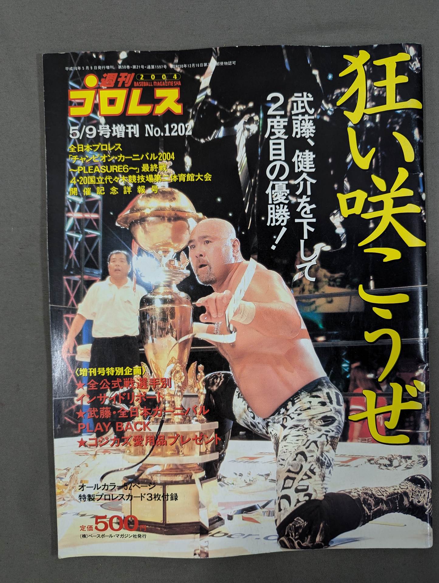 Weekly Pro Wrestling 1202