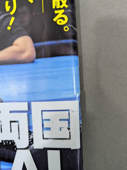 Weekly Pro Wrestling  1624