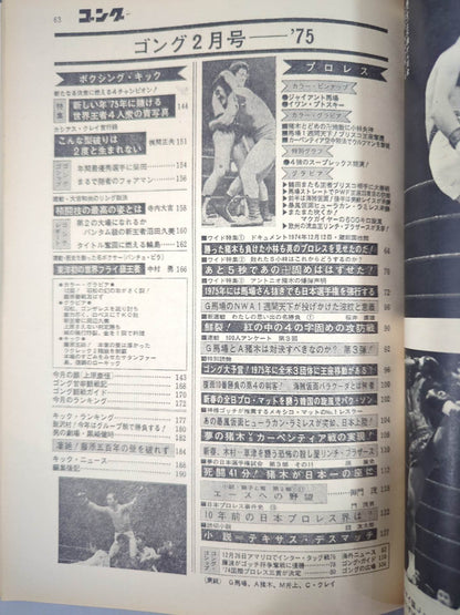 月刊ゴングVol.8 No.2