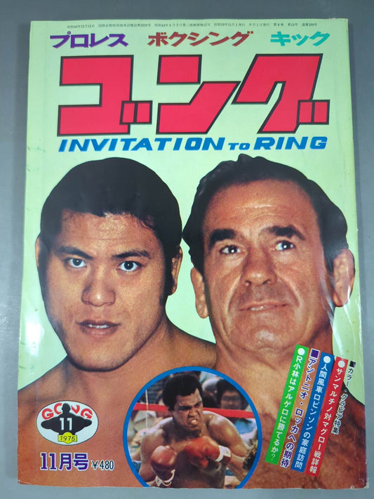 月刊ゴングVol.8 No.13