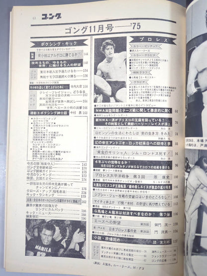 月刊ゴングVol.8 No.13