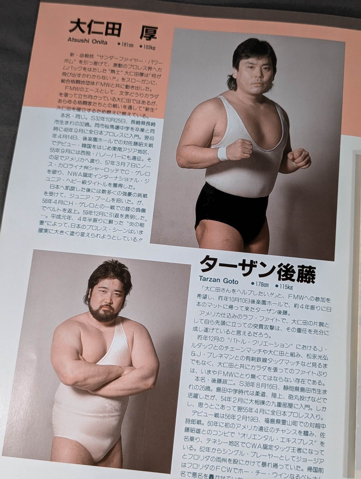 FMW HEADLINE OFFICIAL PROGRAM No.2