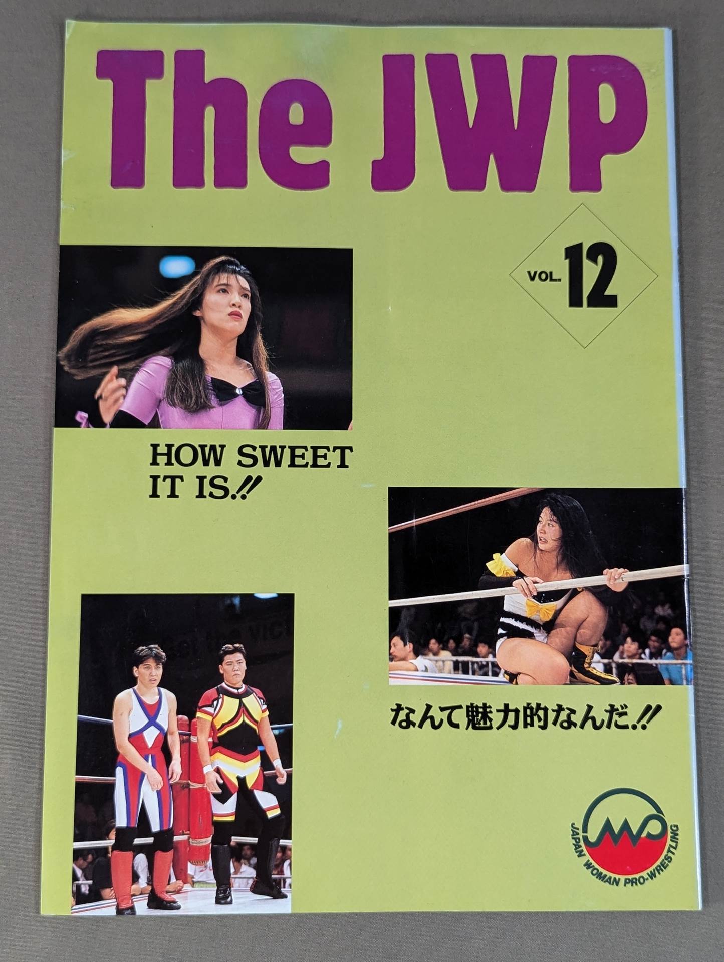 ジャパン女子プロレス The JWP Vol.12