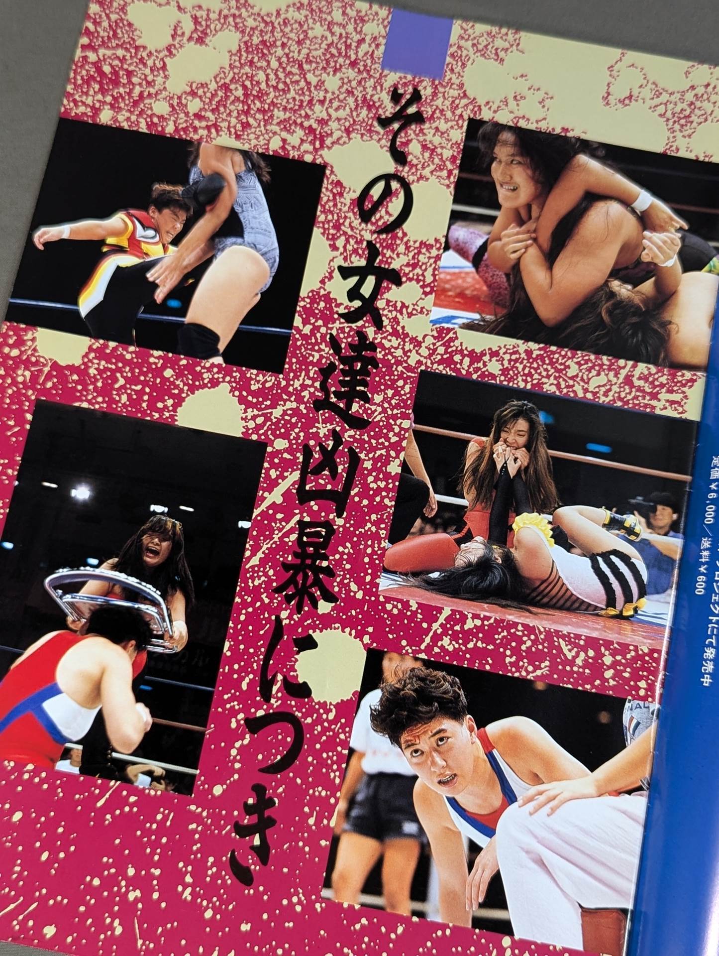 ジャパン女子プロレス The JWP Vol.12
