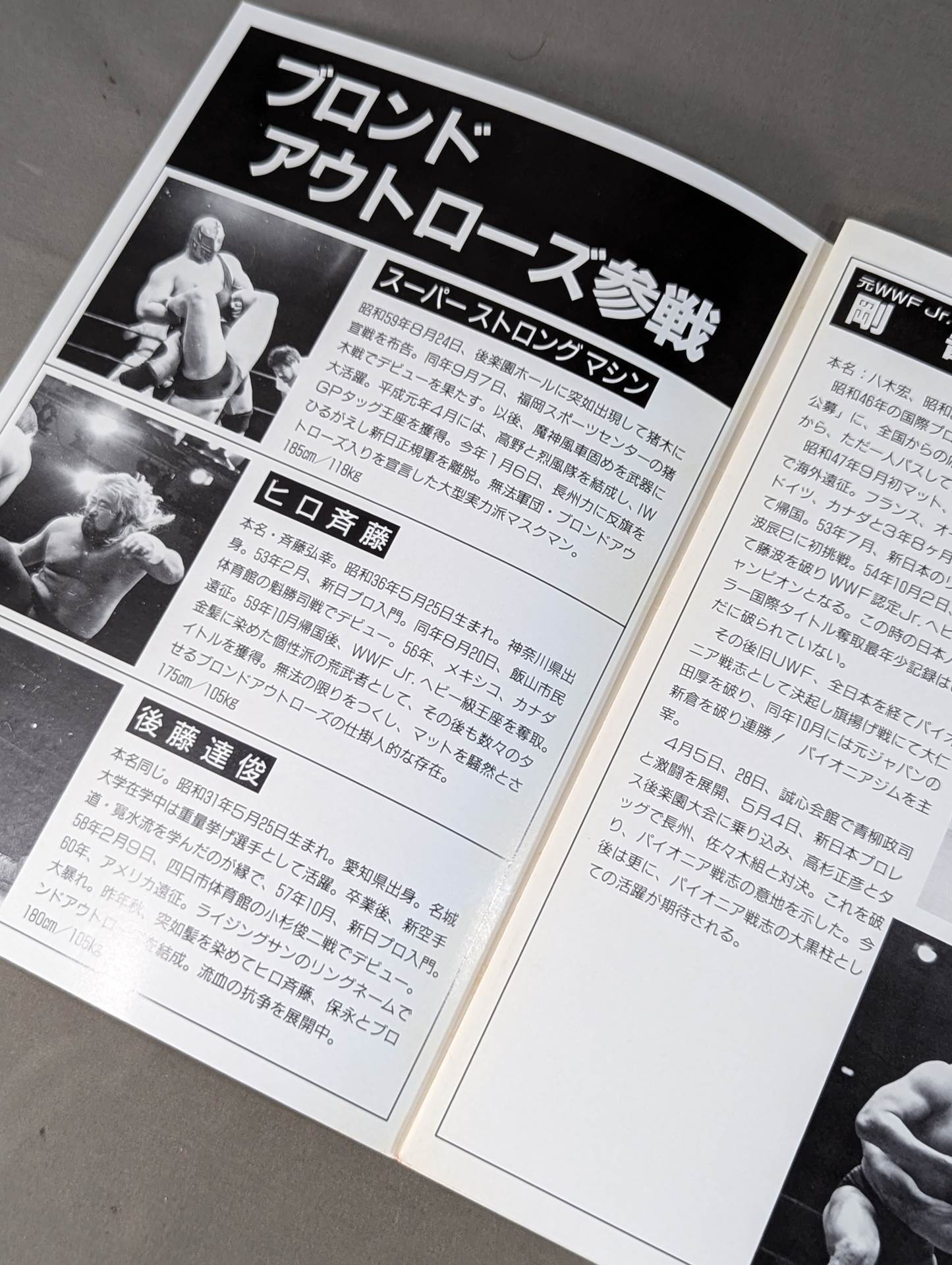 パイオニア戦志 ダイナミックサマーin後楽園