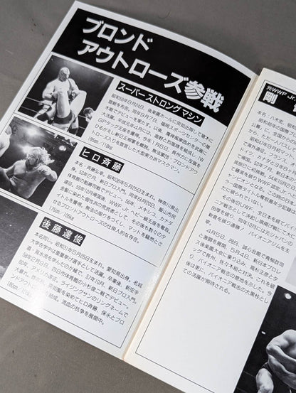 パイオニア戦志 ダイナミックサマーin後楽園