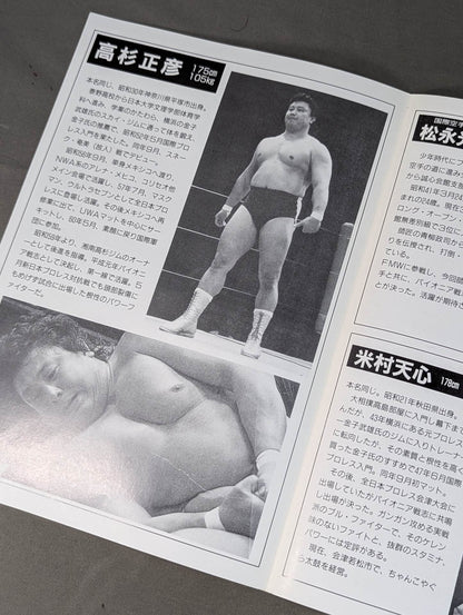 パイオニア戦志 ダイナミックサマーin後楽園