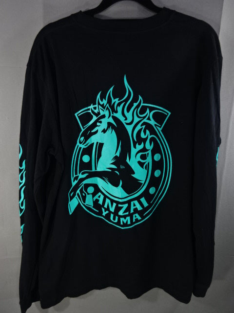 金沢武士団 直筆サイン入りTシャツ TEAM2000 バックロゴTシャツ 天山広吉直筆サイン入り （BATT入り