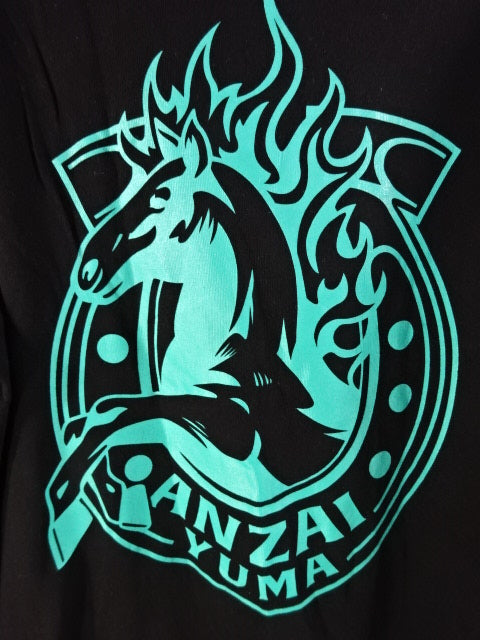 金沢武士団 直筆サイン入りTシャツ TEAM2000 バックロゴTシャツ 天山広吉直筆サイン入り （BATT入り