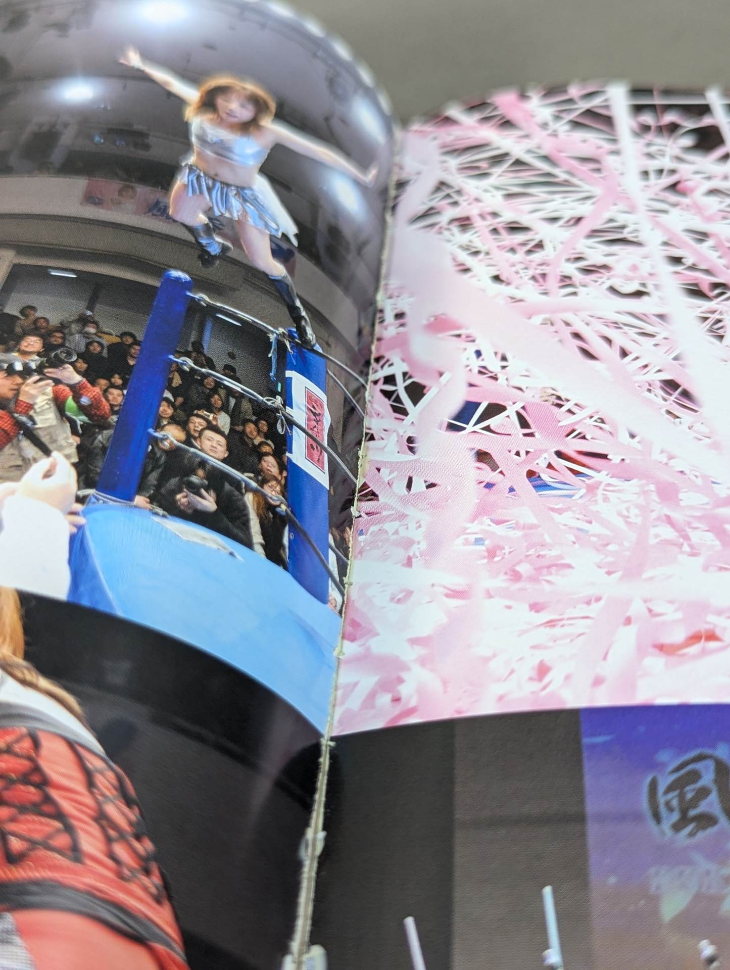 FOTOLIBRE de Mascara Numero.15