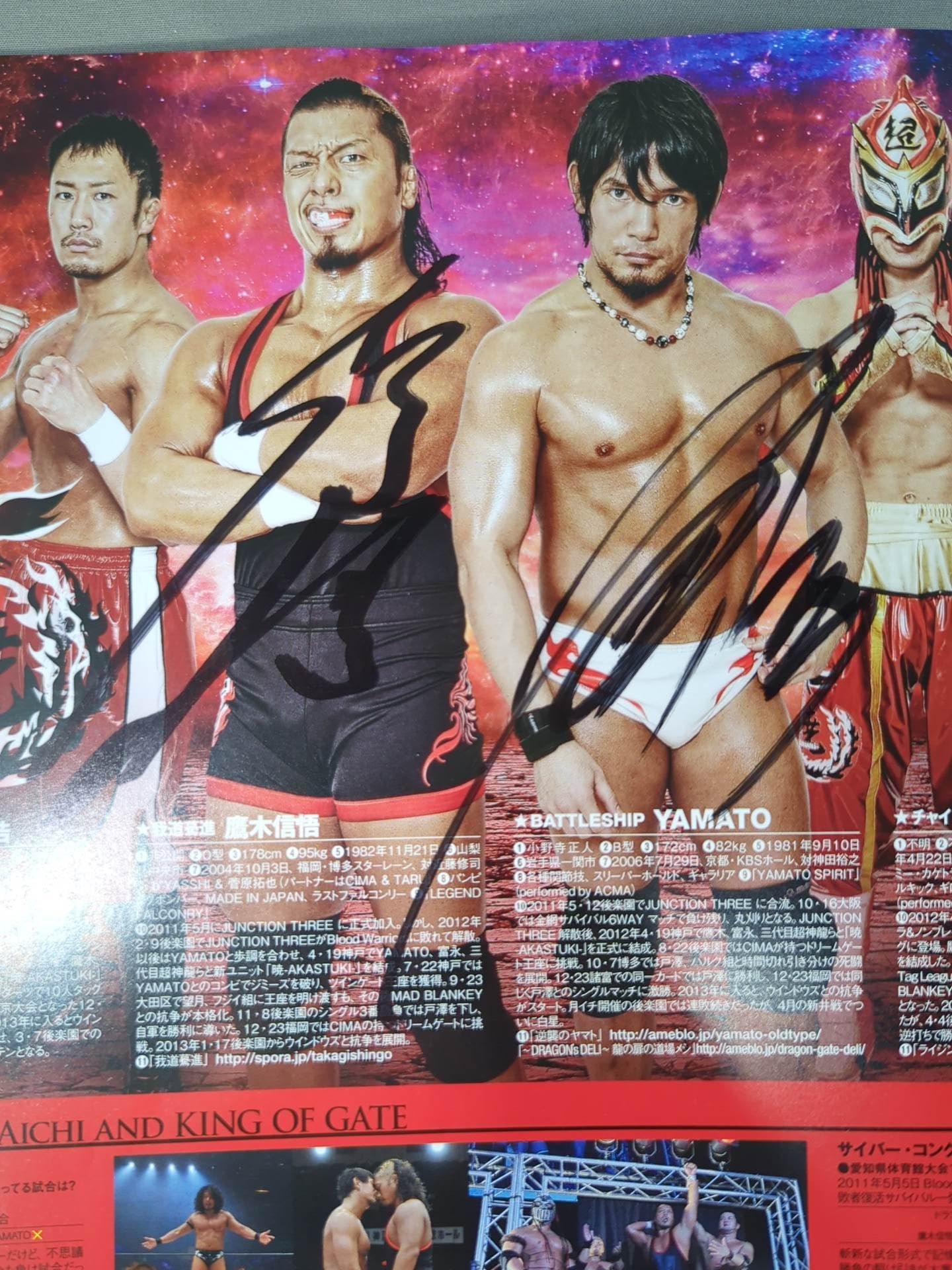 8選手直筆サイン入り】2013ドラゴンゲート オフィシャル
