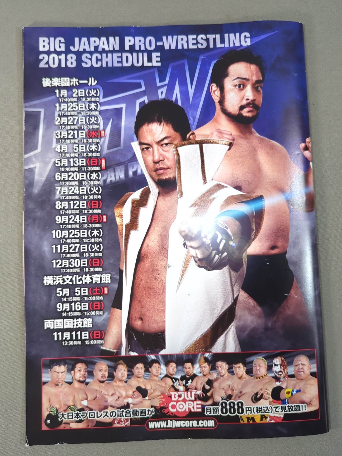2選手直筆サイン入り】大日進月歩 2018 vol.1 – 闘道館