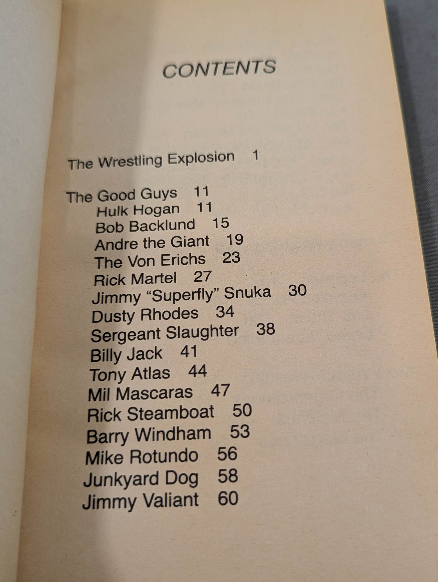 WRESTLING SUPERSTARS – 闘道館