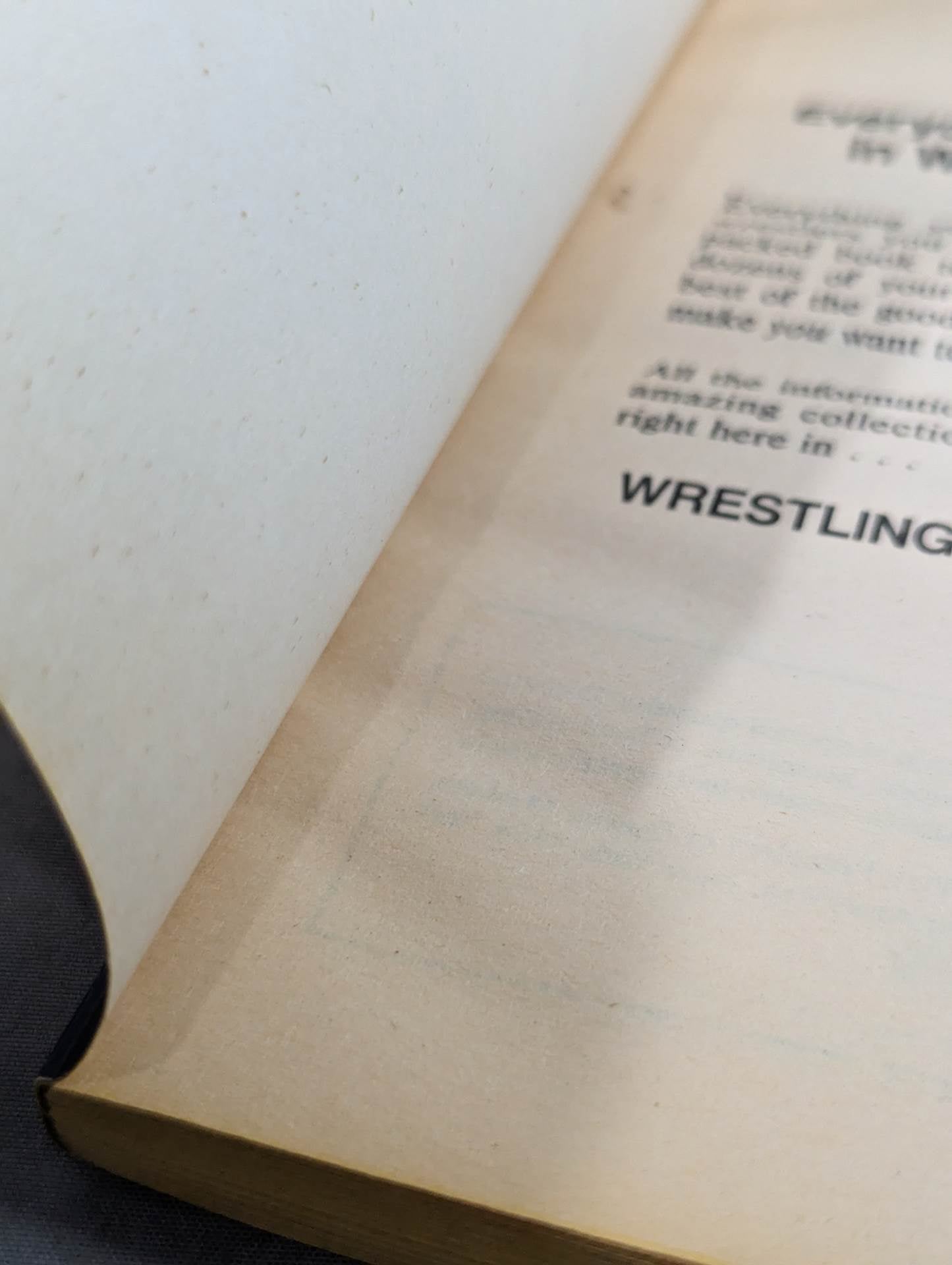 Wrestling  SUPERSTARS II.