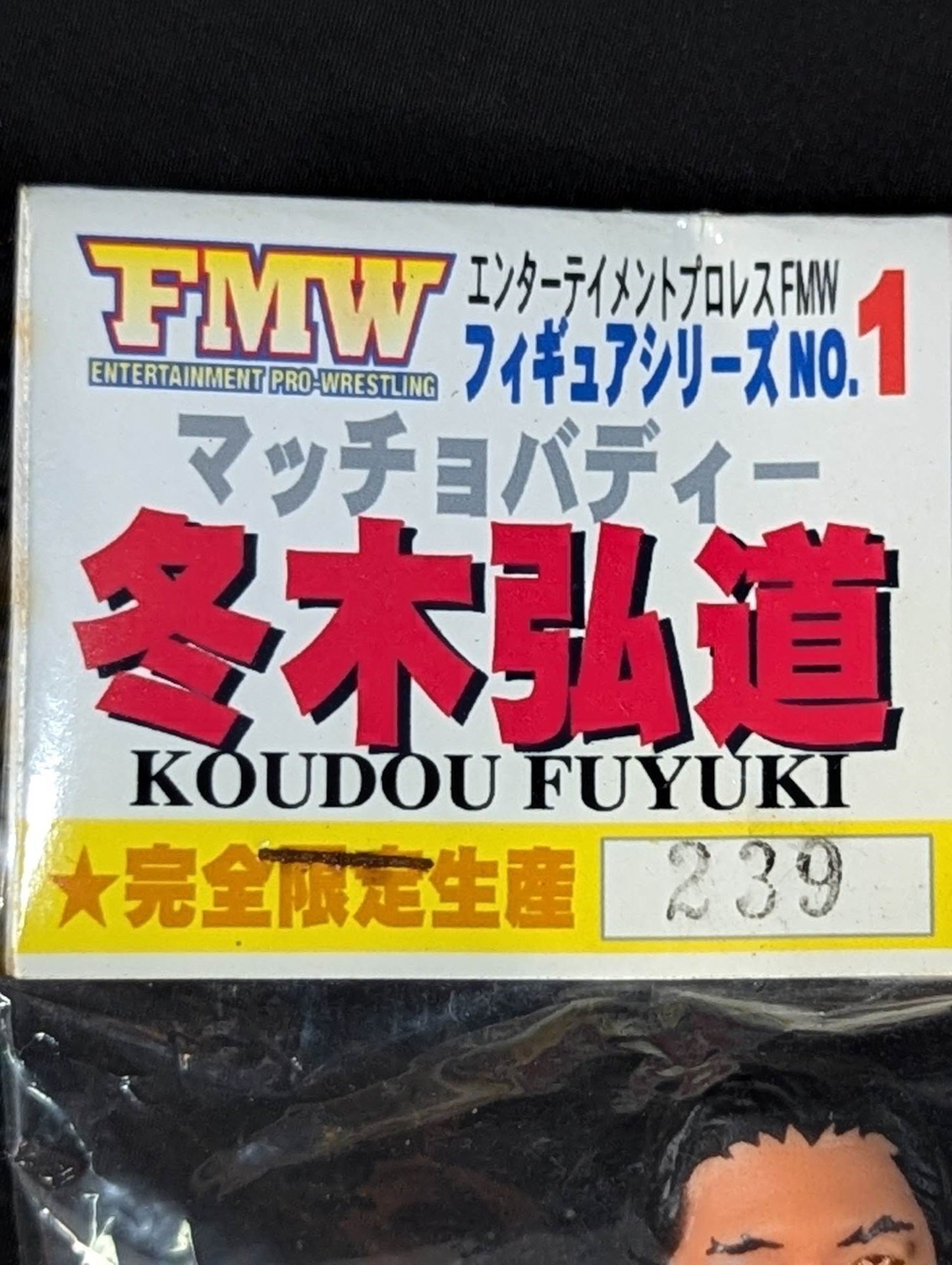 ☆FMW フィギュアシリーズ☆ マッチョバディー 冬木弘道 – 闘道館