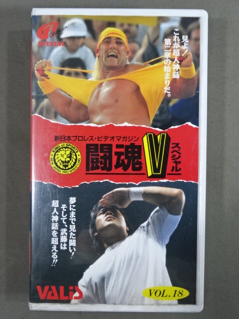 闘魂Vスペシャル Vol.18 – 闘道館