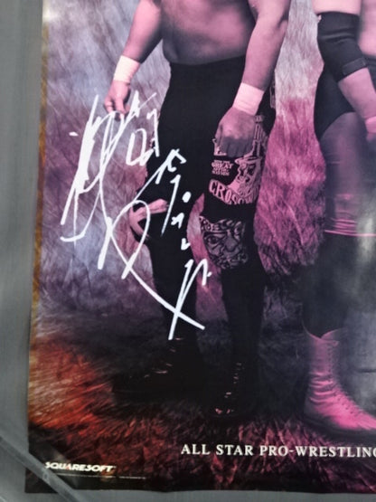 ALL STAR PRO WRESTLING Ⅱ 広告ポスター