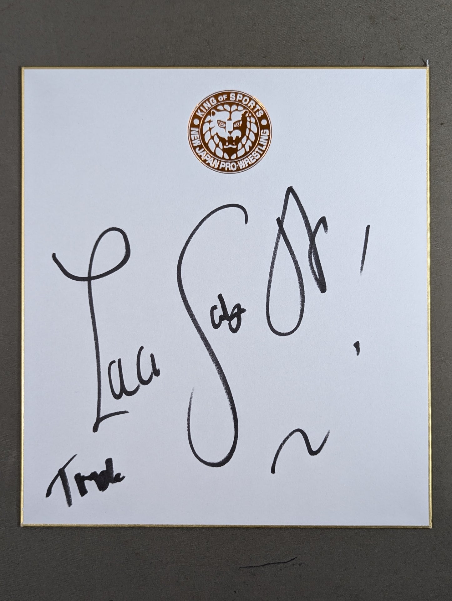 Zack Saber Jr . (Lion Mark Shikishi ( Autograph board ) )