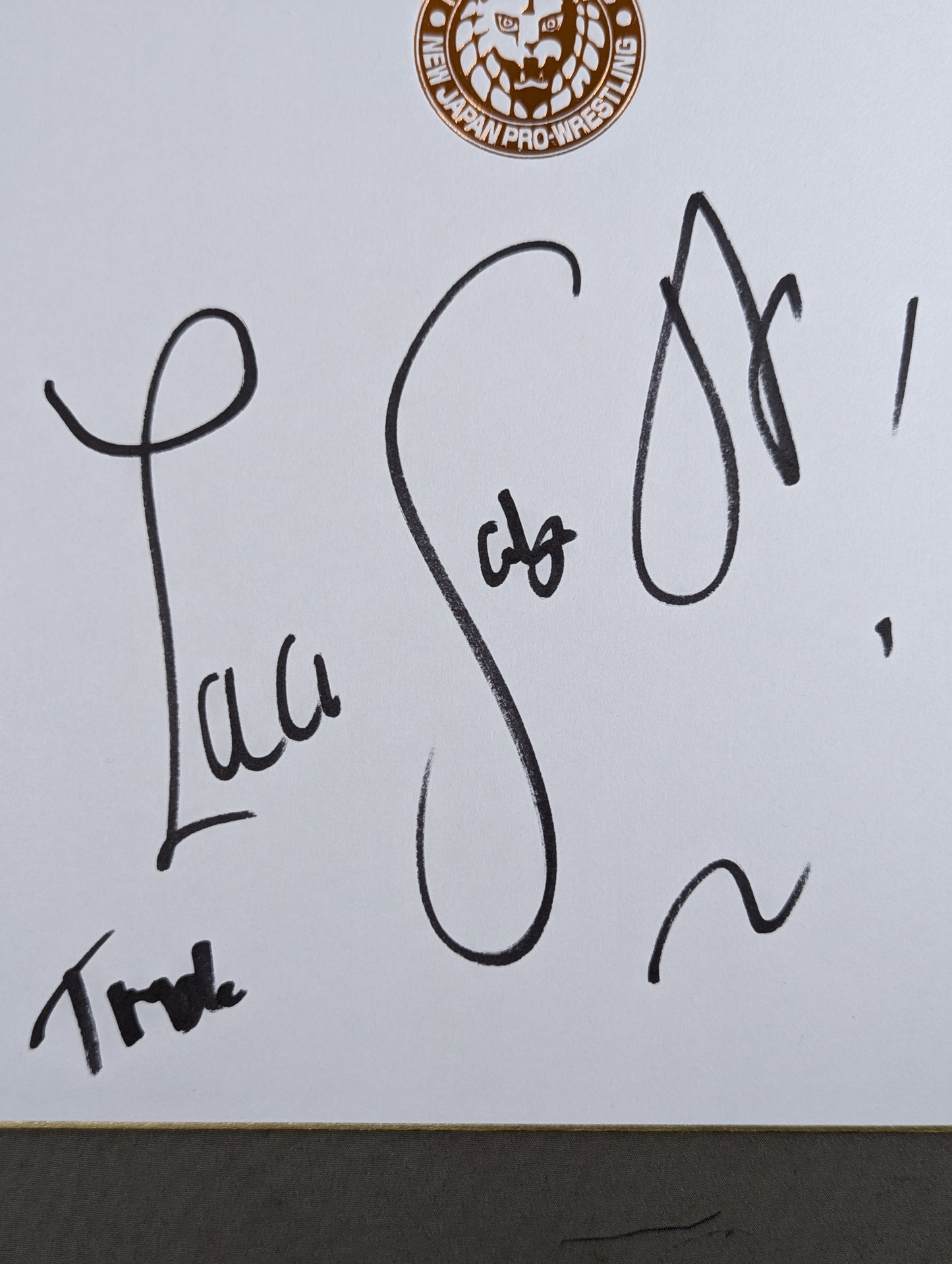Zack Saber Jr . (Lion Mark Shikishi ( Autograph board ) )