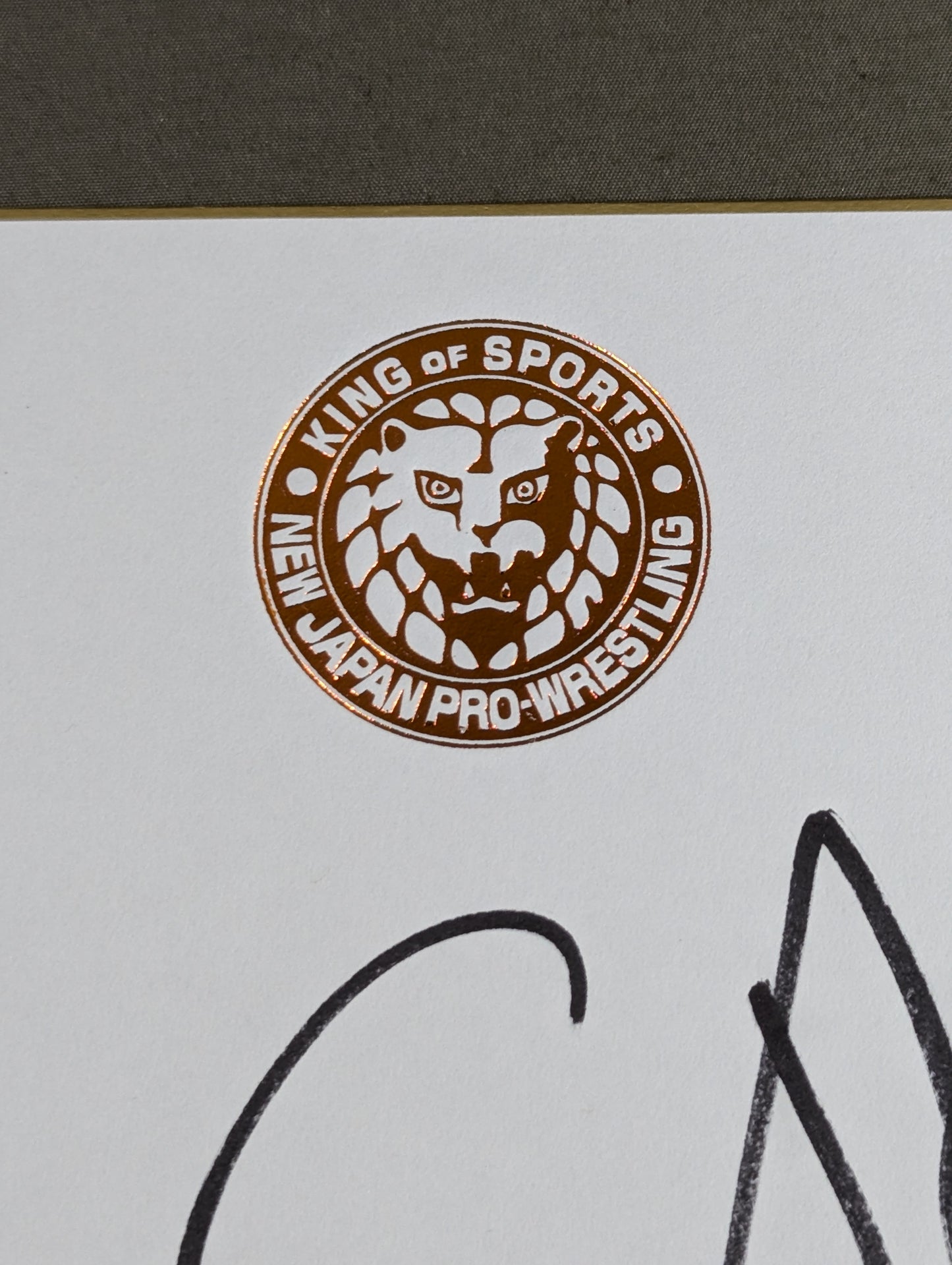 Zack Saber Jr . (Lion Mark Shikishi ( Autograph board ) )