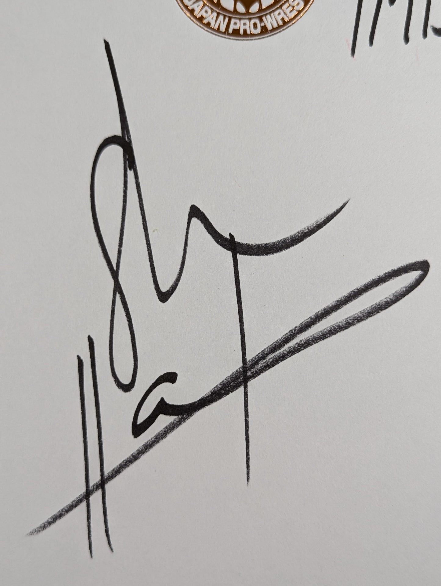 Shane Haste  (Lion Mark Shikishi ( Autograph board ) )