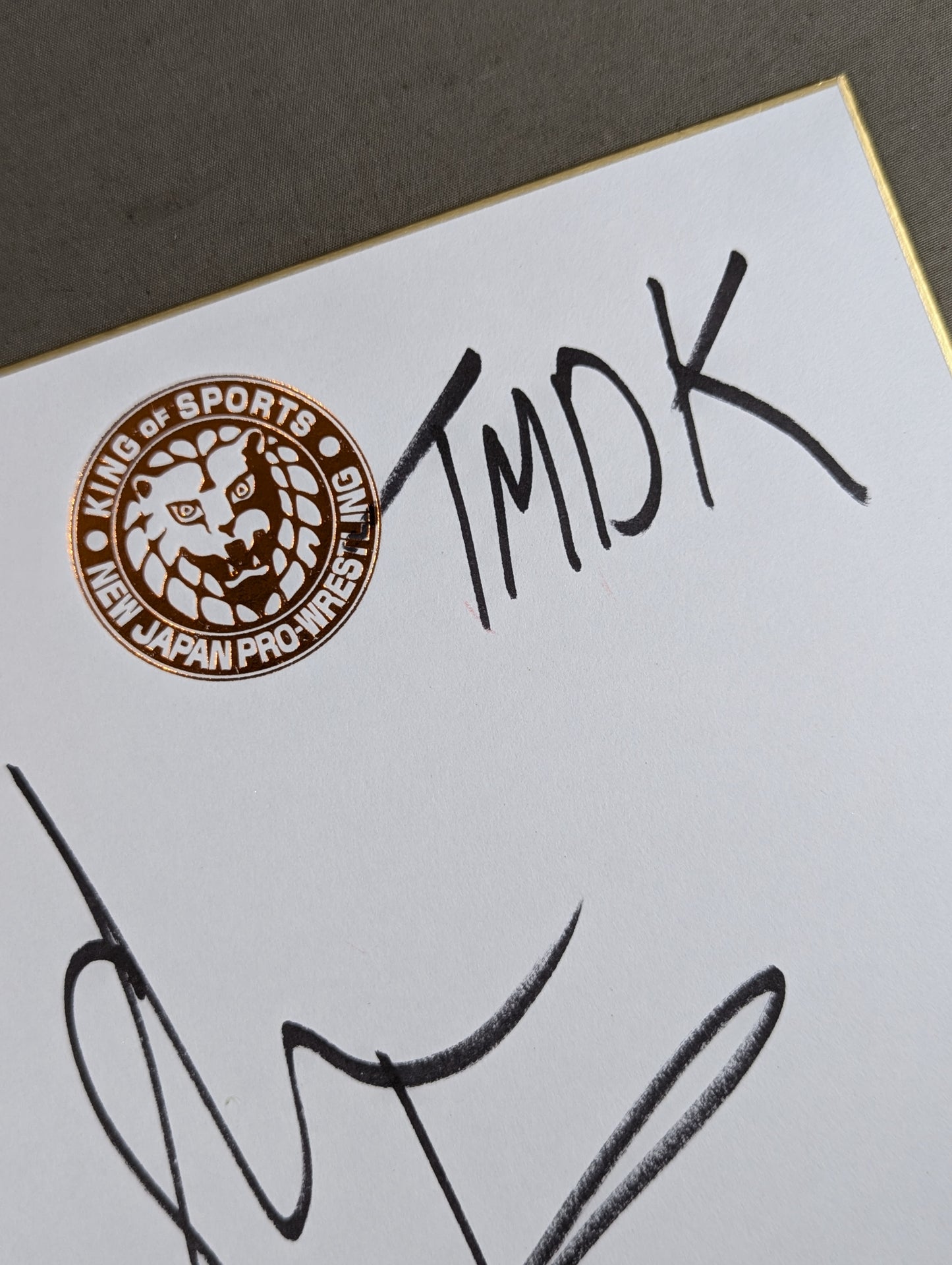 Shane Haste  (Lion Mark Shikishi ( Autograph board ) )