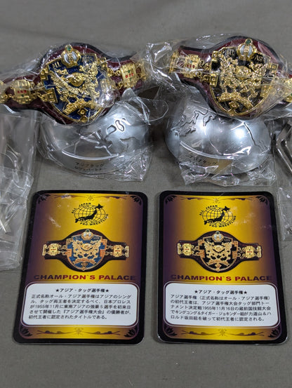 Asian Tag Team Champion Belt