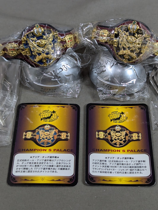 Asian Tag Team Champion Belt
