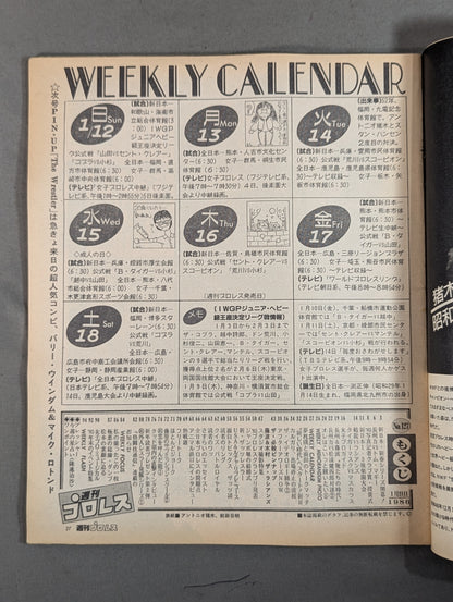 Weekly Pro Wrestling  127