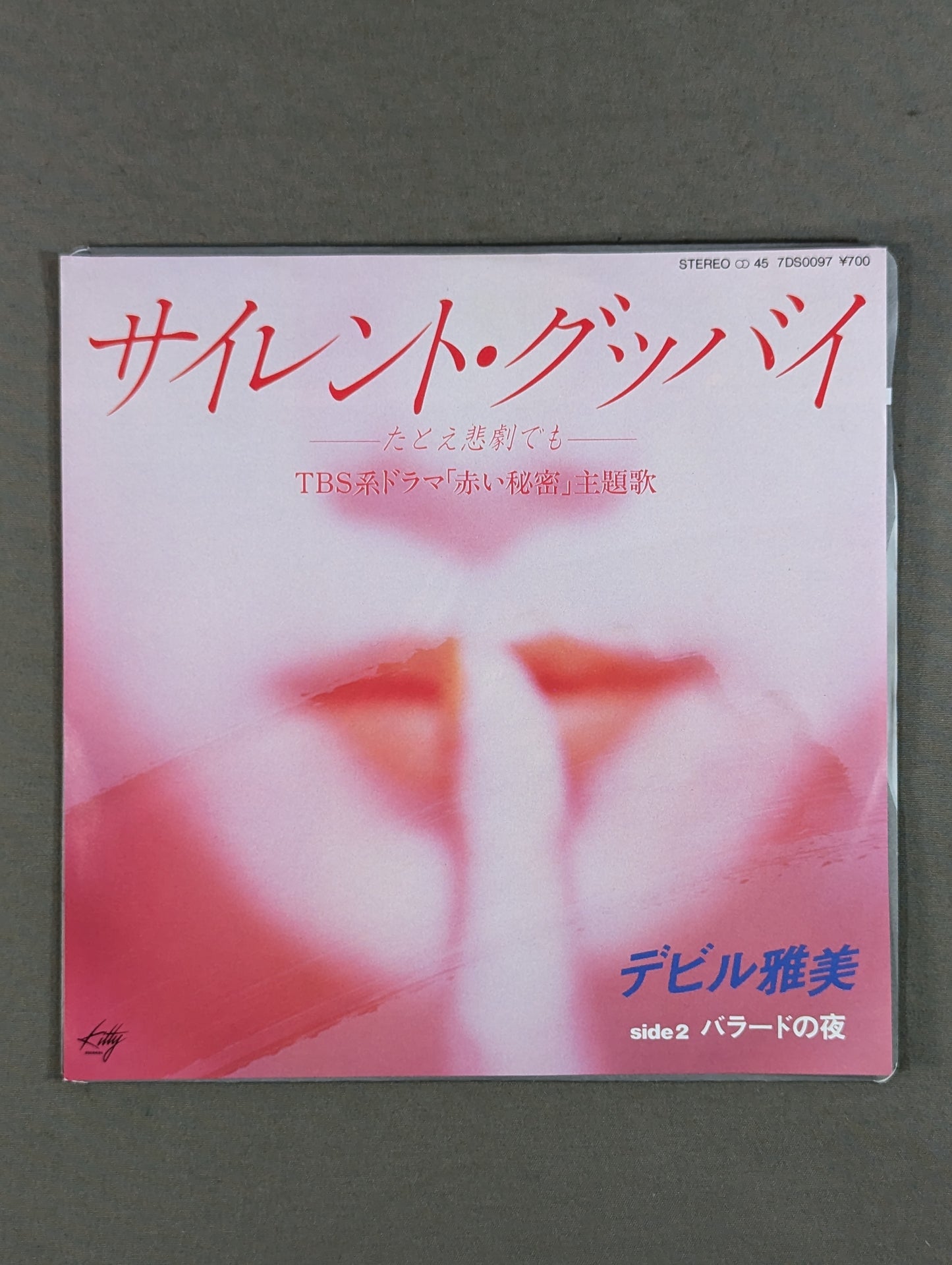 サイレント・グッバイ -たとえ悲劇でも- / デビル雅美