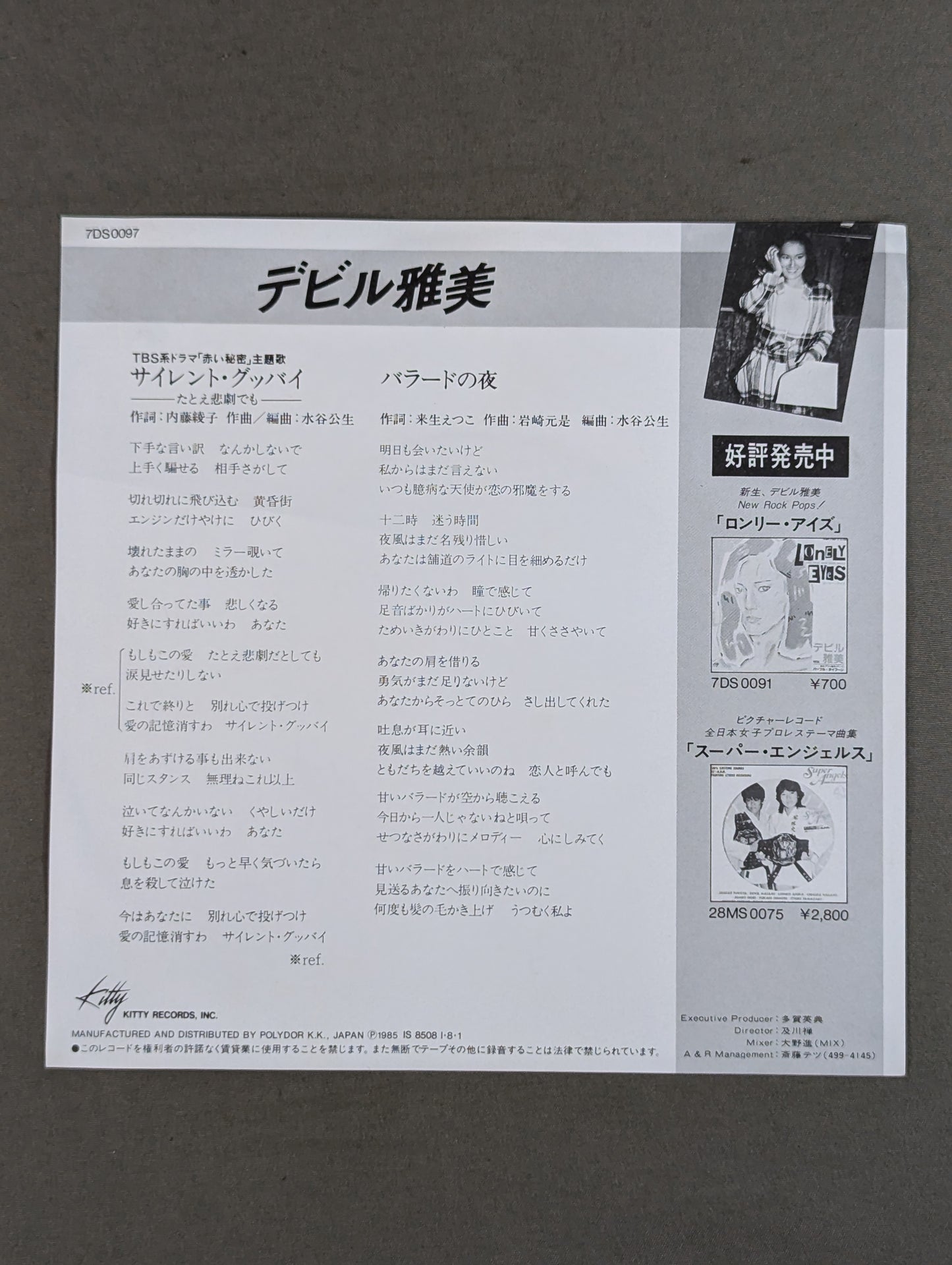 サイレント・グッバイ -たとえ悲劇でも- / デビル雅美