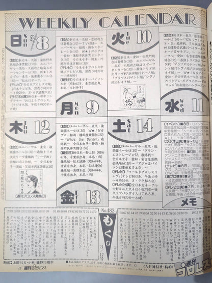 Weekly Pro Wrestling  483