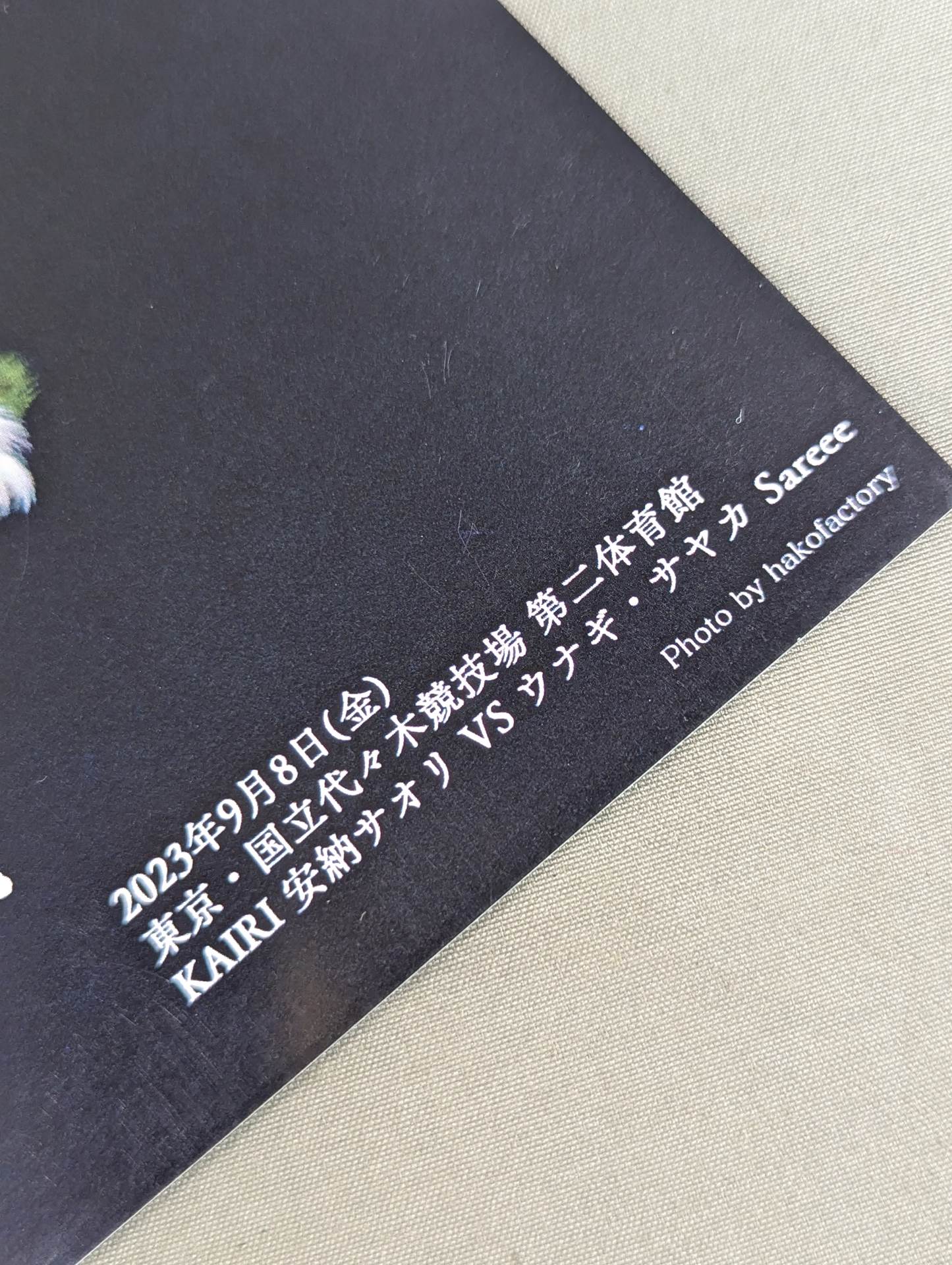 原価　激レア　ウナギサヤカ安納サオリKAIRI Sareee 記念アクリルボード 原価 激レア ウナギサヤカ安納サオリKAIRI Sareee 記念アクリル