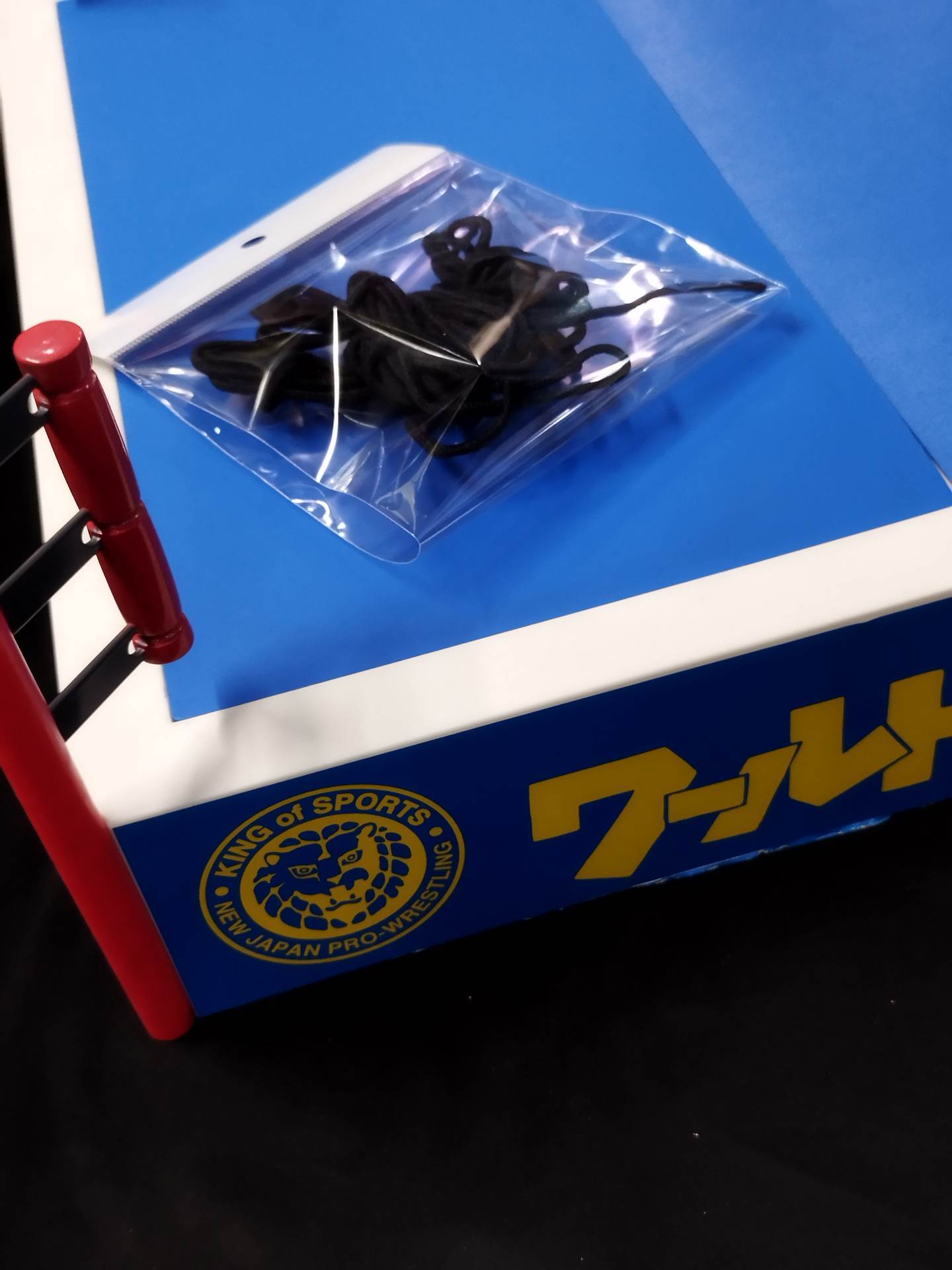 Strong Style Pro Wrestling Ring – 闘道館