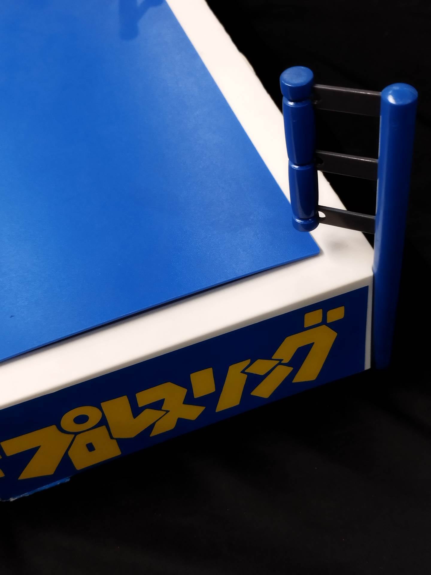 Strong Style Pro Wrestling Ring – 闘道館