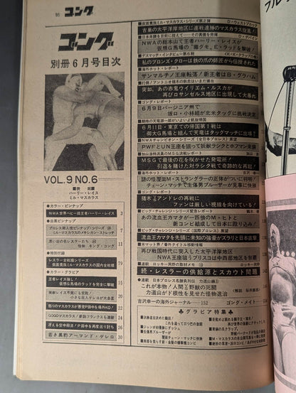 別冊ゴングVol.9 No.6