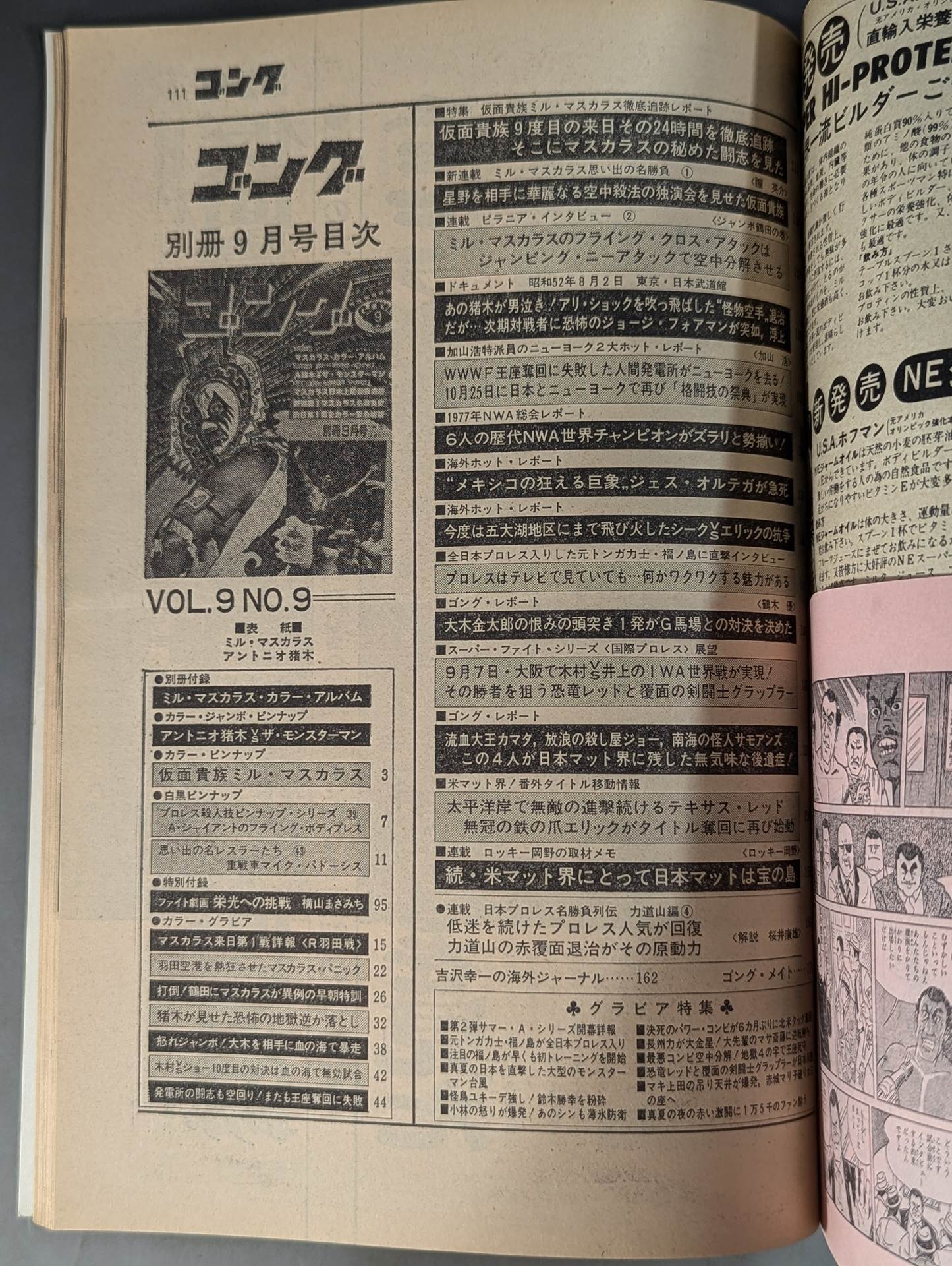 別冊ゴングVol.9 No.9