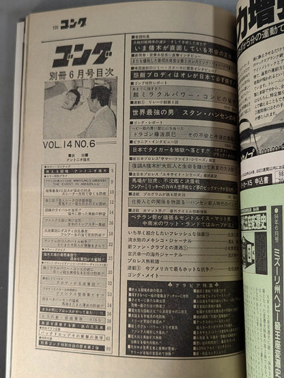 別冊ゴングVol.14 No.6