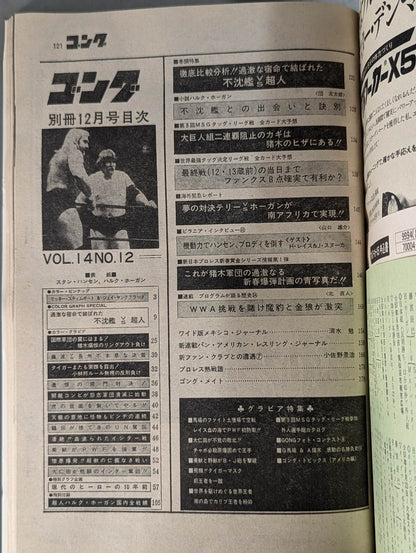 別冊ゴングVol.14 No.12