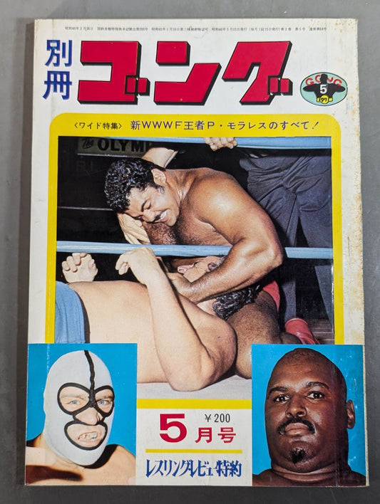 別冊ゴングVol.3 No.5