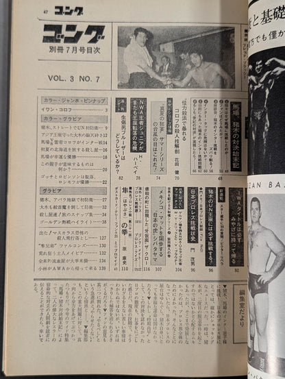 別冊ゴングVol.3 No.7