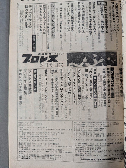 月刊プロレス 1976年6月号