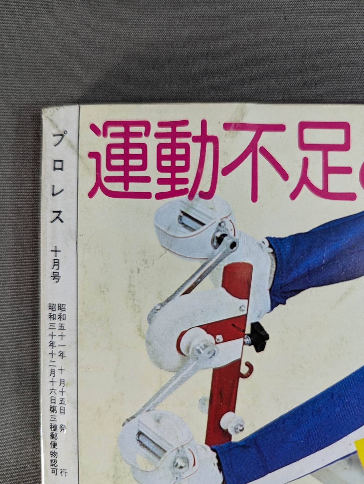 月刊プロレス 1976年10月号