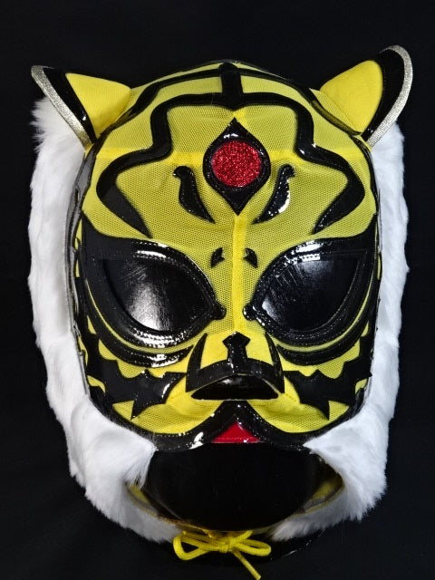 2代目タイガーマスク