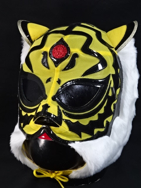 2代目タイガーマスク