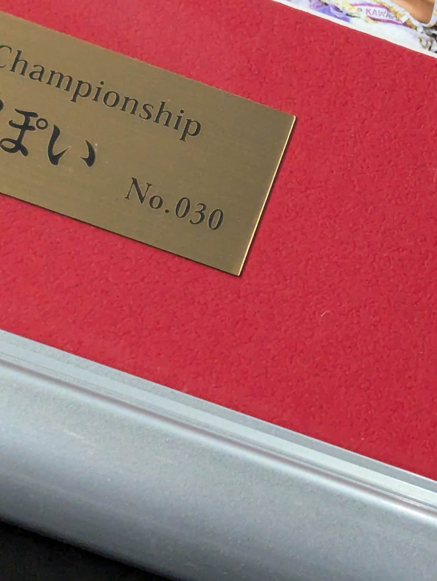 スターダム　中野たむ　なつぽい　 直筆サイン入り　記念フォトフレーム 中野たむ＆なつぽい 直筆Wサイン入り 記念フォトフレーム